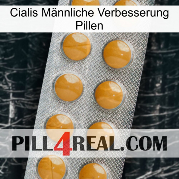 Cialis Männliche Verbesserung Pillen levitra1.jpg